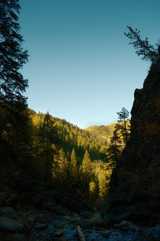 Canyon in gold light