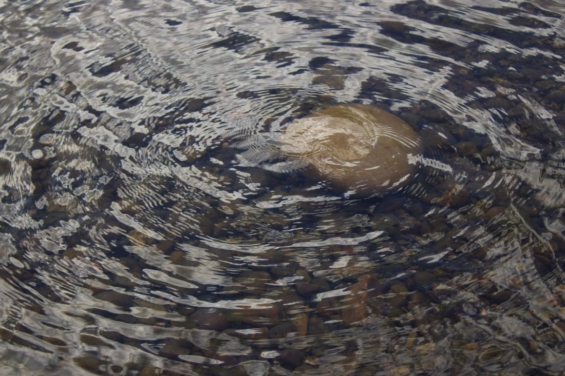 Ripples